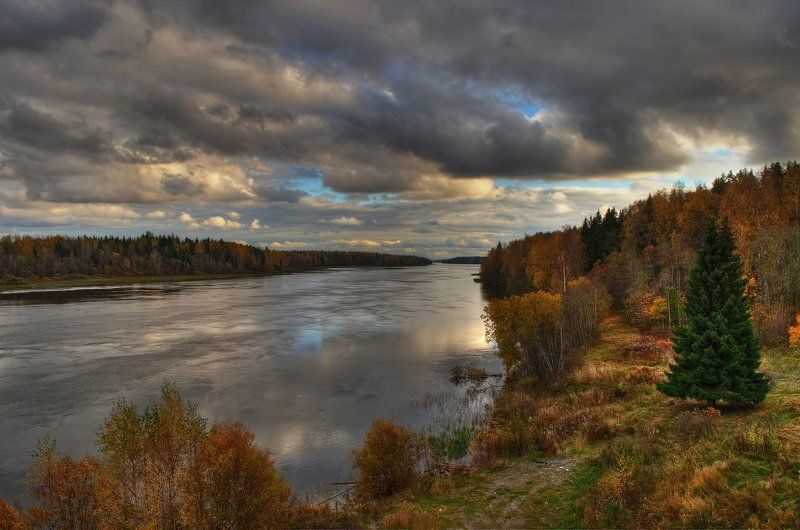 Пушистая и зелёная на Вуоксе фото превью