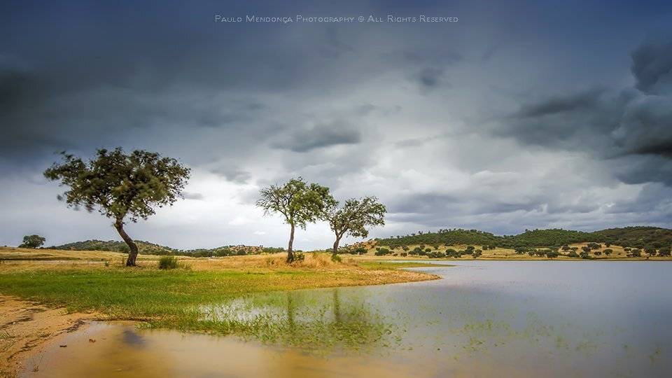 , Paulo Mendon&ccedil;a