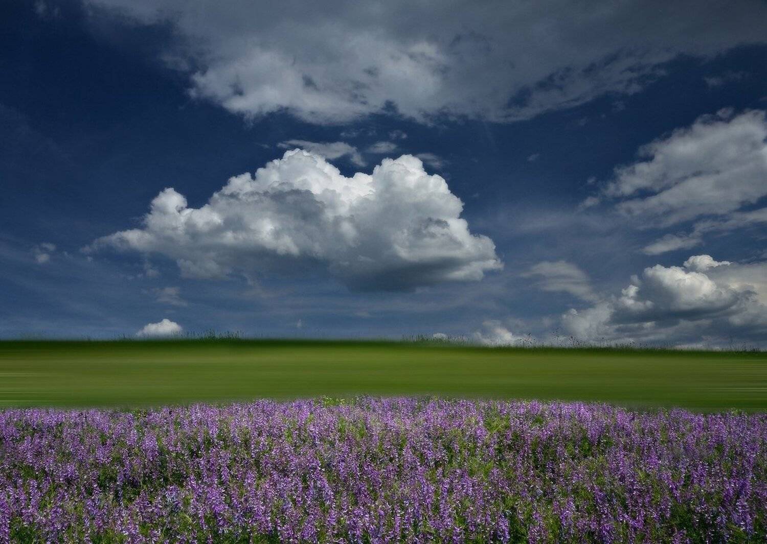 , Животков Андрей