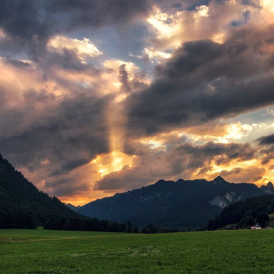 , Игорь Мелекесцев