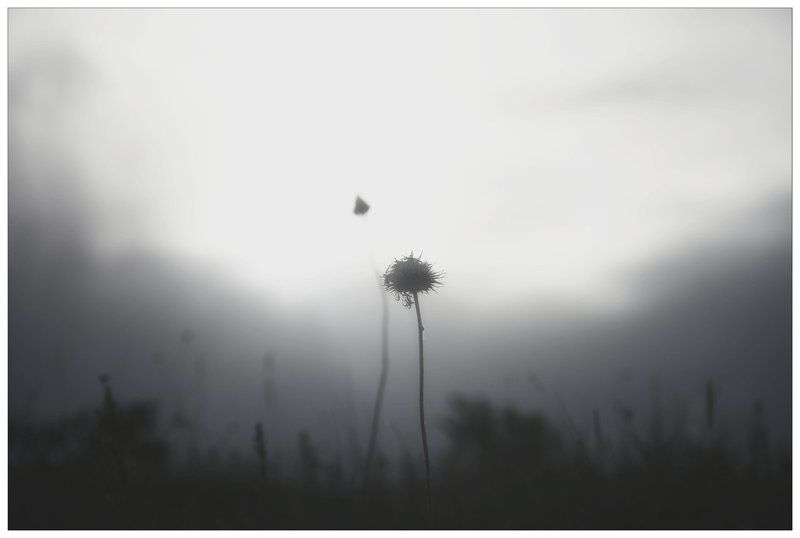 Alone, Bw, Gray Gray фото превью