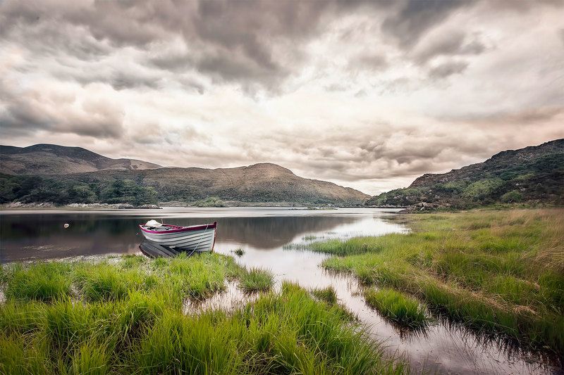 Taste of Ireland фото превью