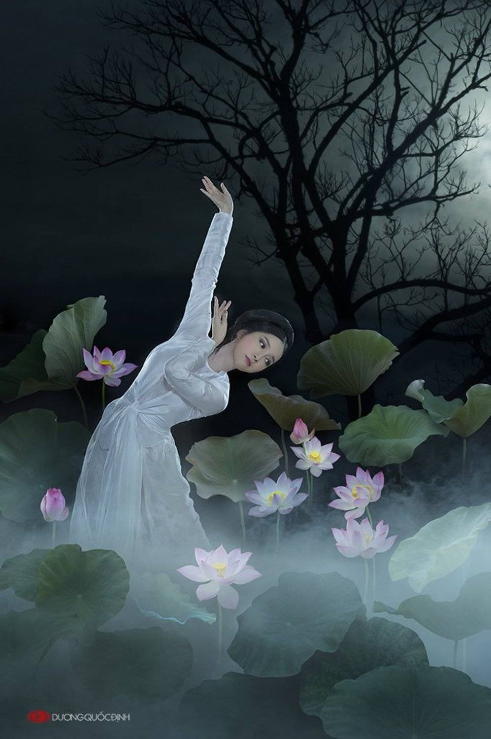 , duong quoc dinh