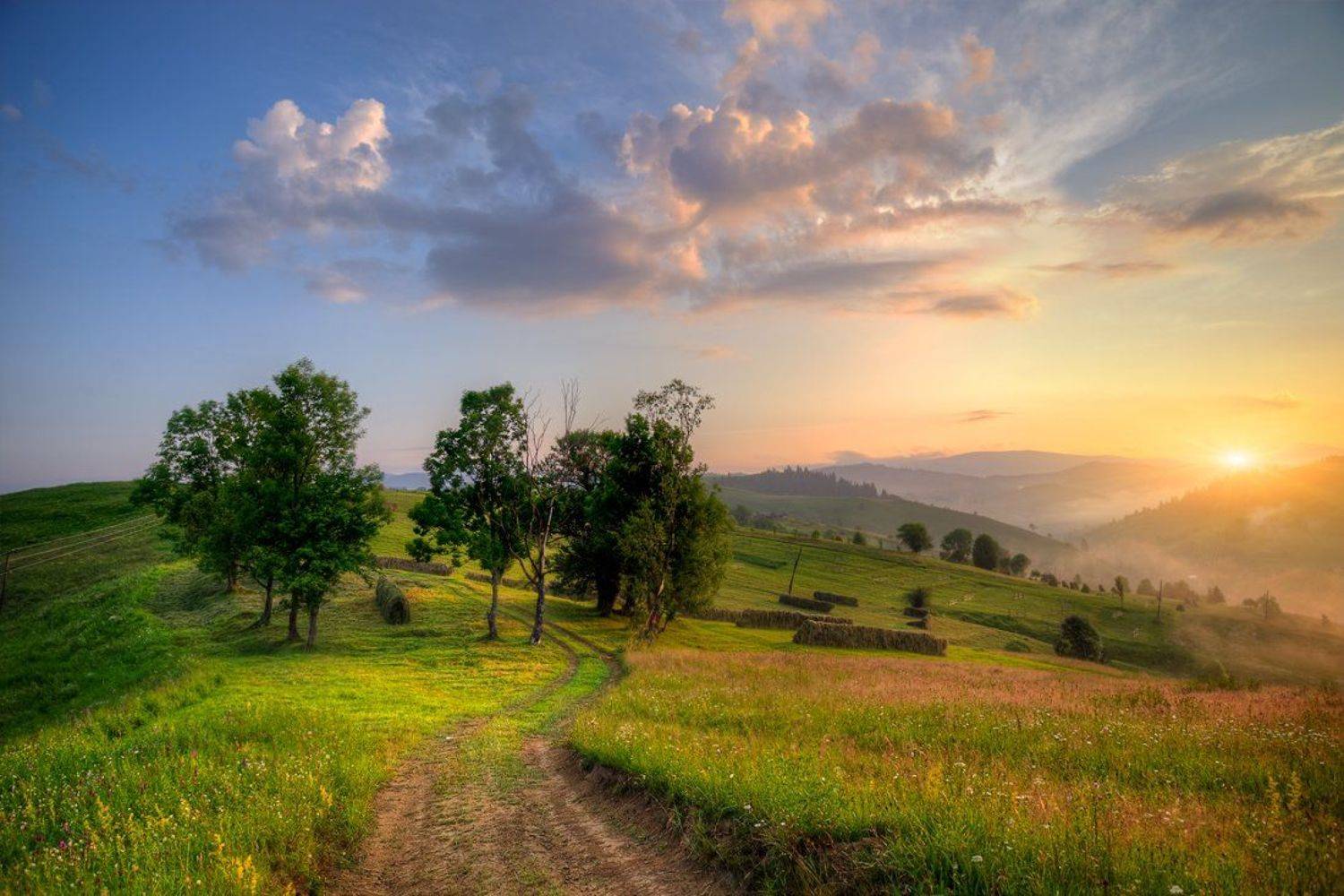 , Эдуард Гордеев