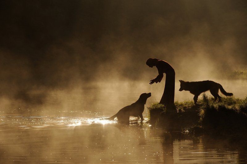 invitation to life фото превью