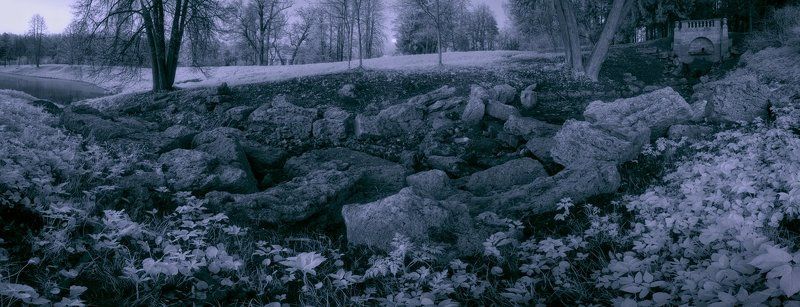 ~122~ фото превью