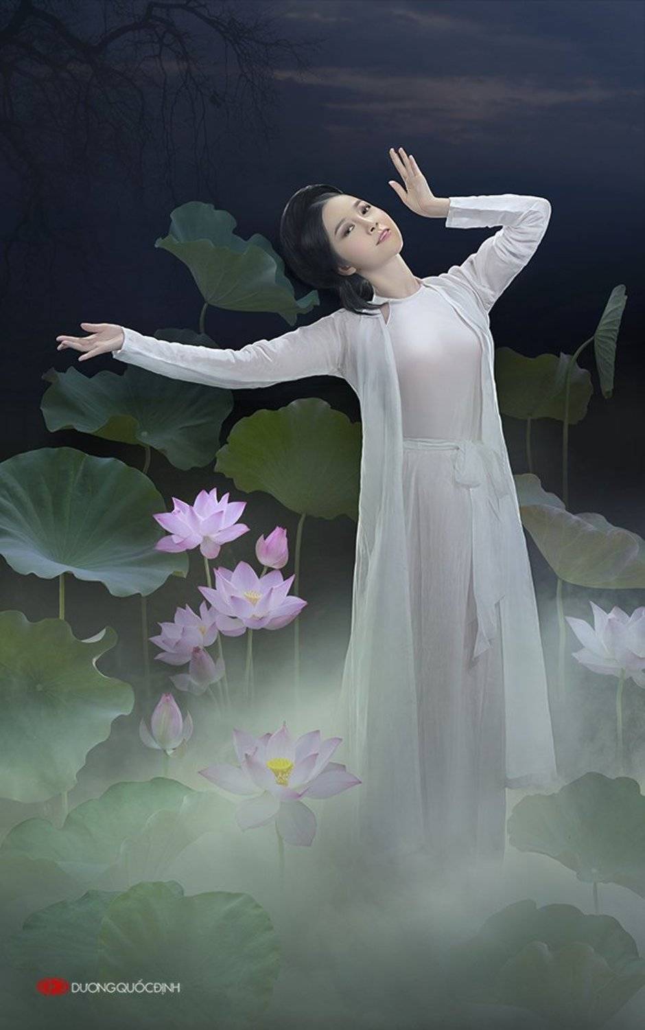 , duong quoc dinh