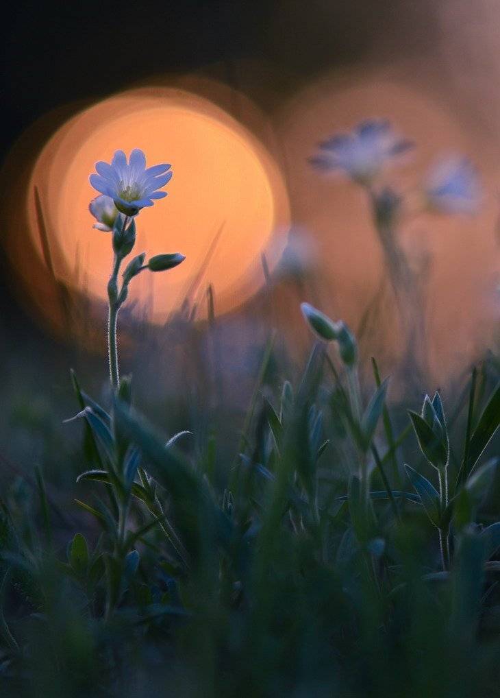 , Вячеслав Мищенко