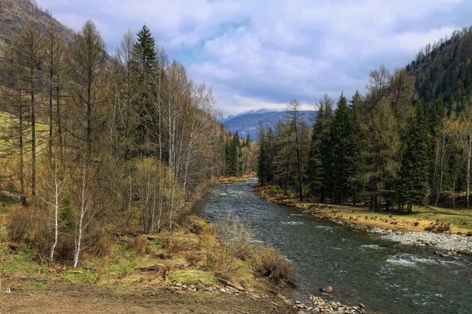 , Галина Хвостенко