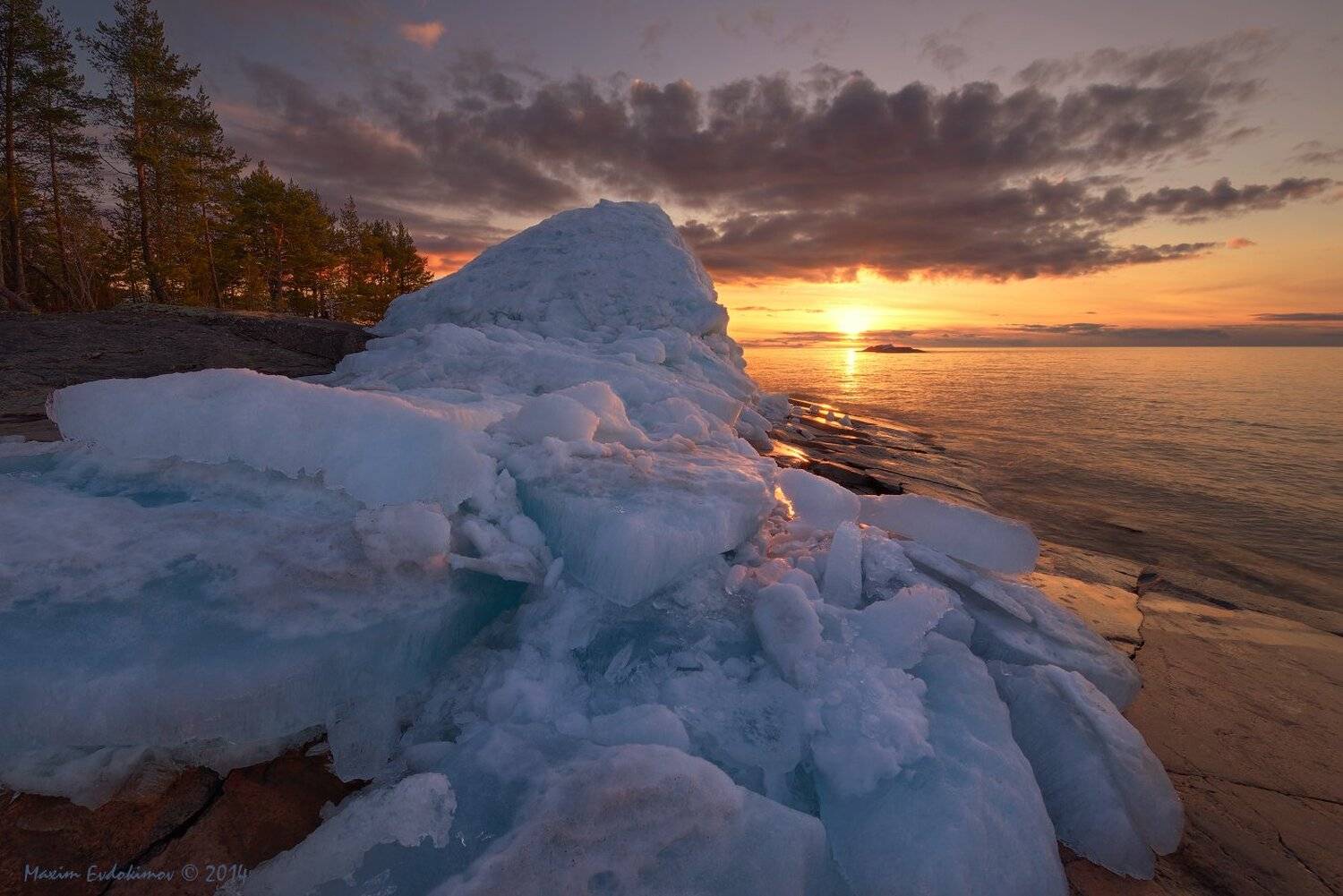 , Максим Евдокимов