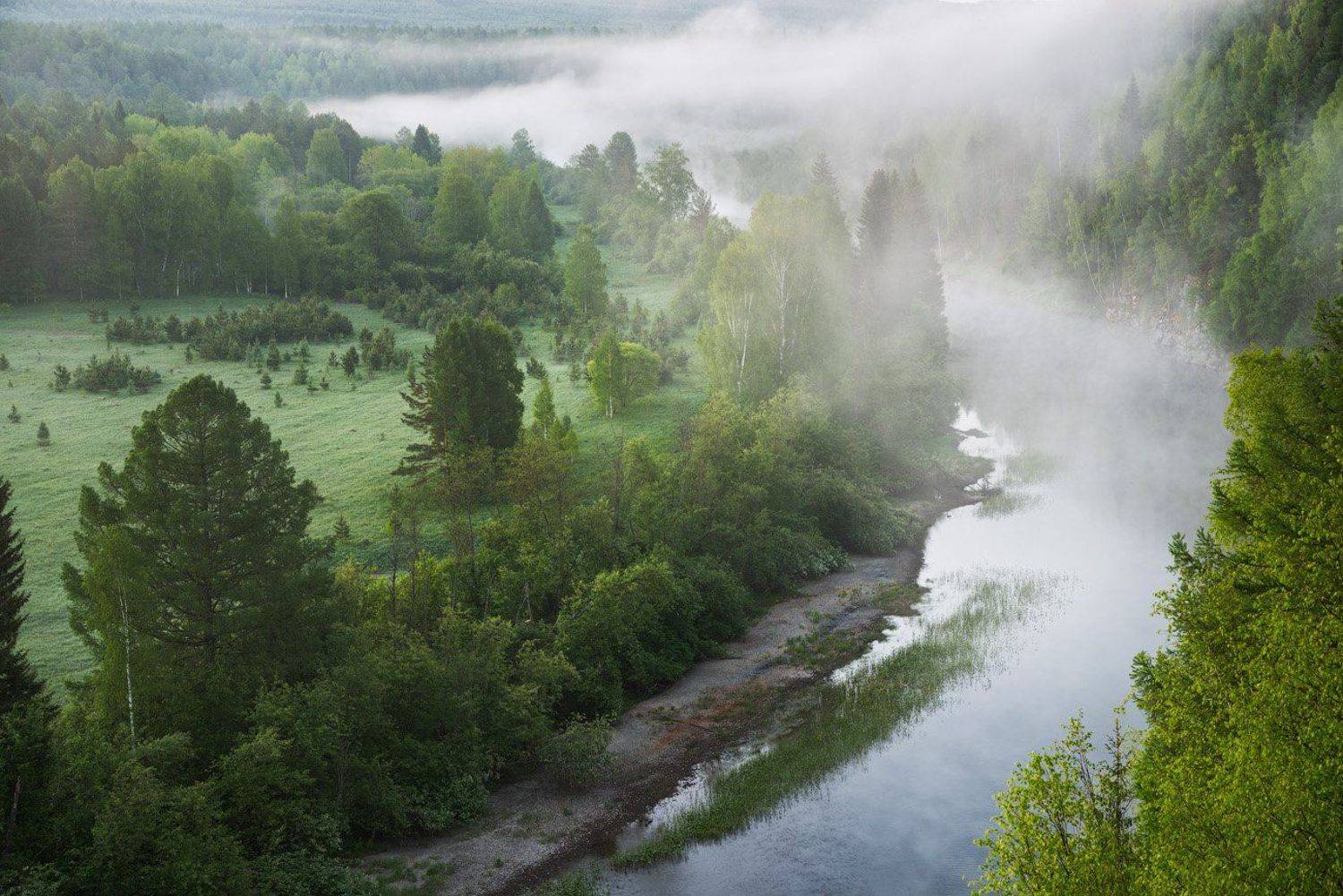 , Александр Гоголин