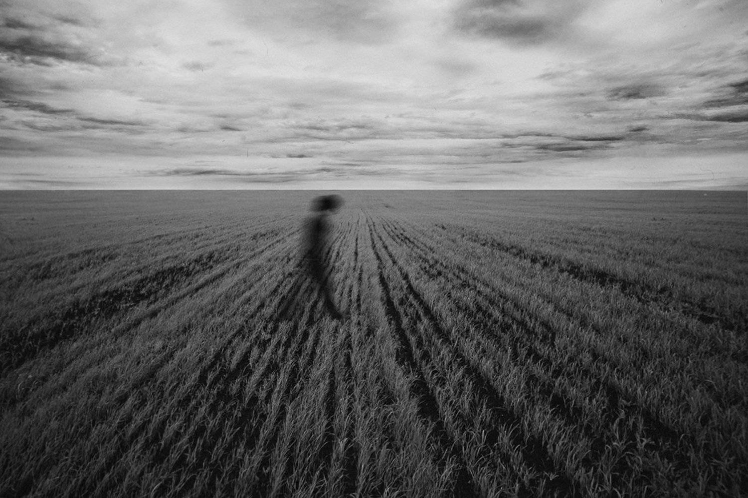 Ambient, B&w, Black & white, Field, Shadow, Soul, Walking, Душа, Настроение, Окружение, Поле, Прогулка, Тень, Черно-белое, Тимофеевский Валерий