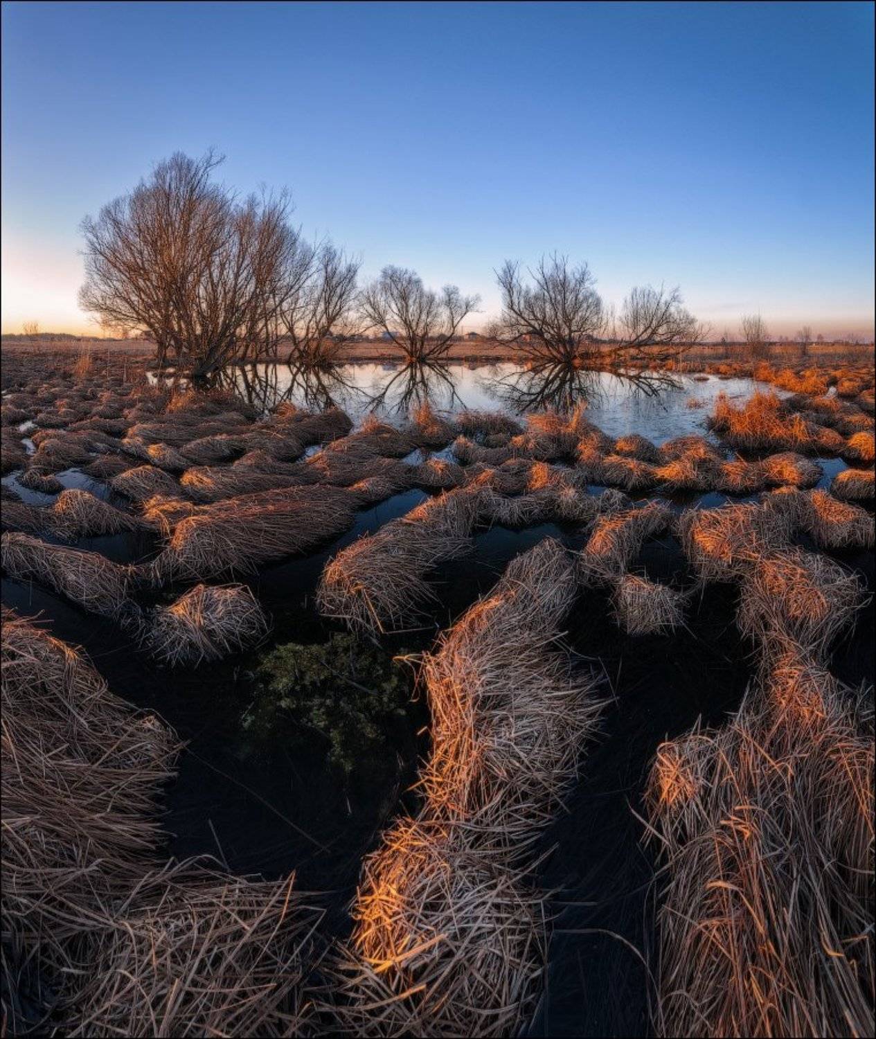 Кочки, Подмосковье, Пруд, Иван Мухин