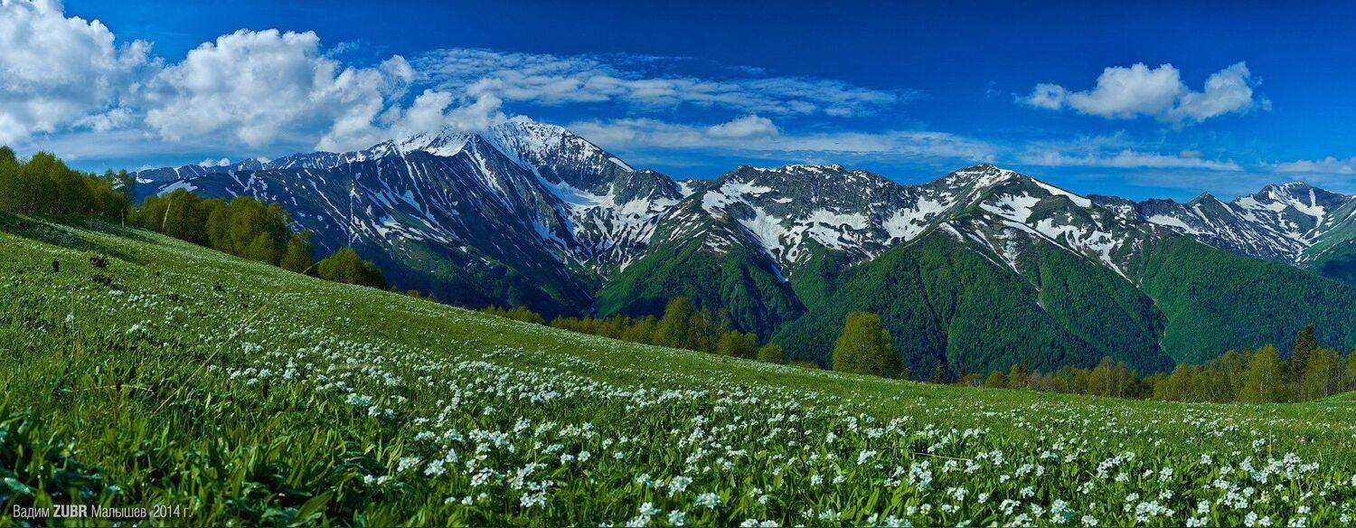 De-zigner, Zubr, Абаго, Весна, Горы, Западный кавказ, Кавказ, Панорама, Цветы, Вадим de-Zigner Малышев
