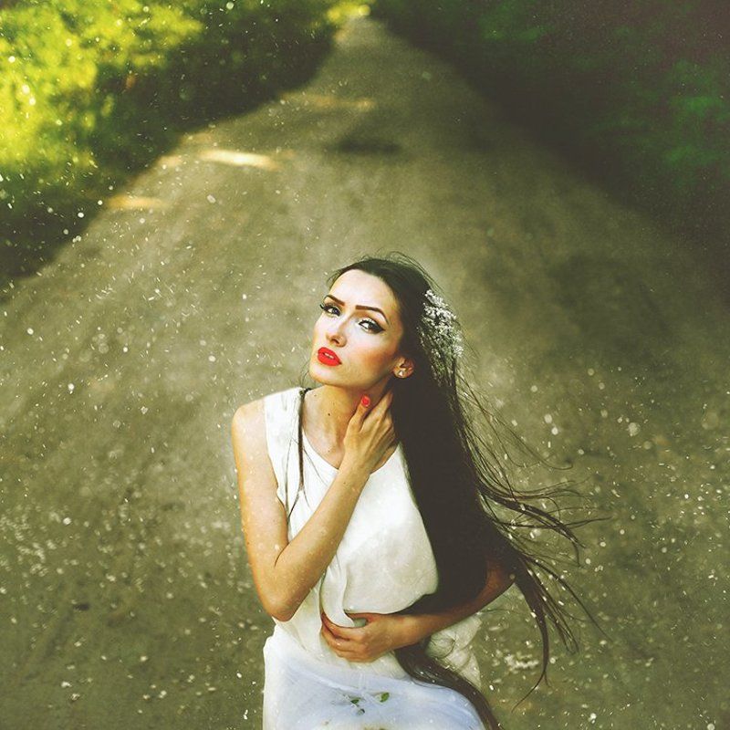 the wind of flowers фото превью