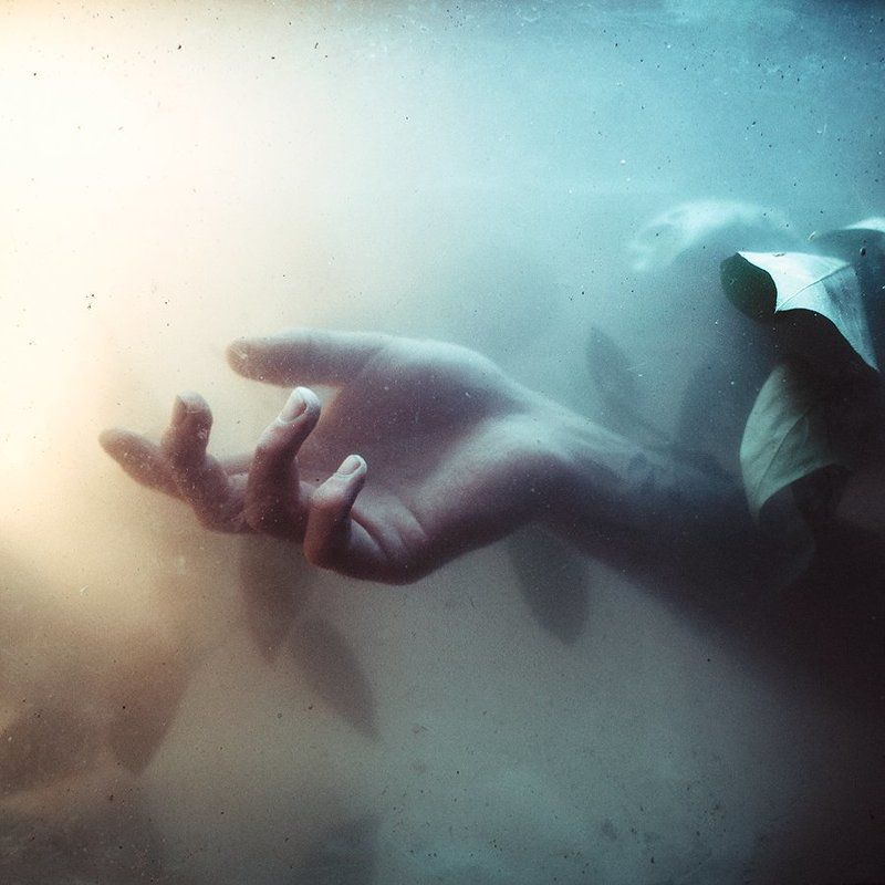 ▷┏◪шn фото превью