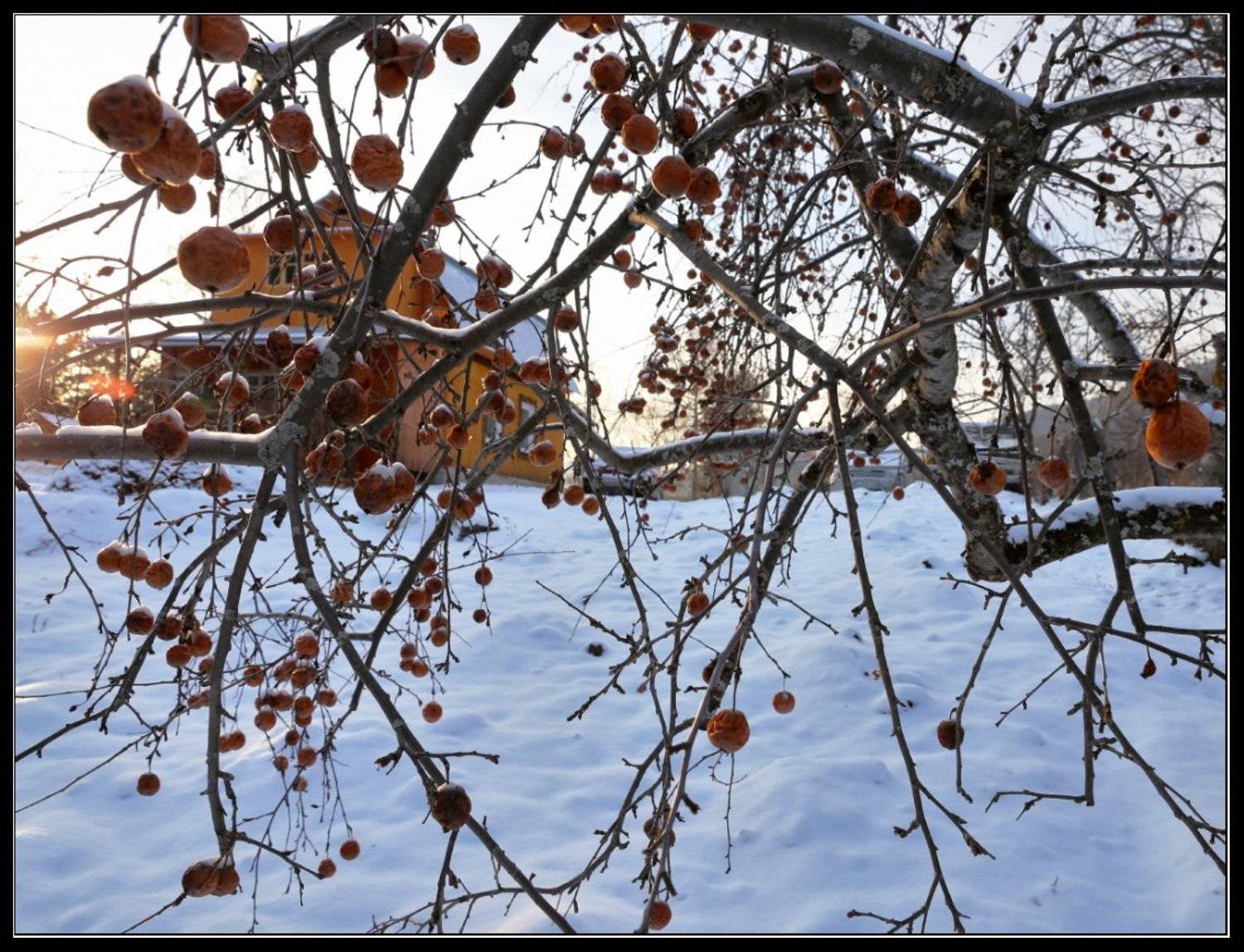 , Юрий Фролов