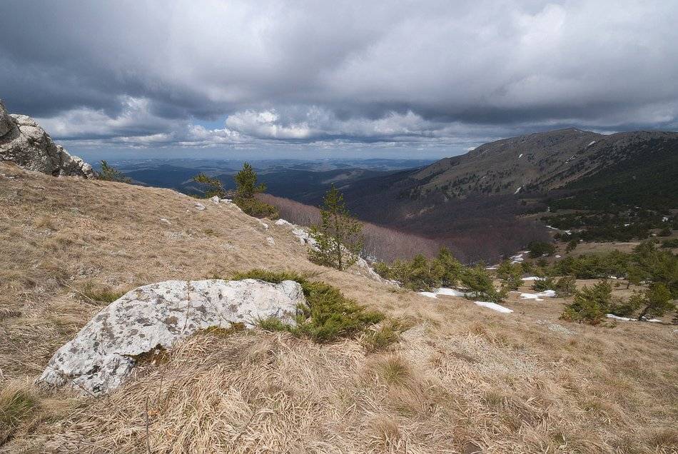 , Саша  Вайсберг / Waldschnepfe /