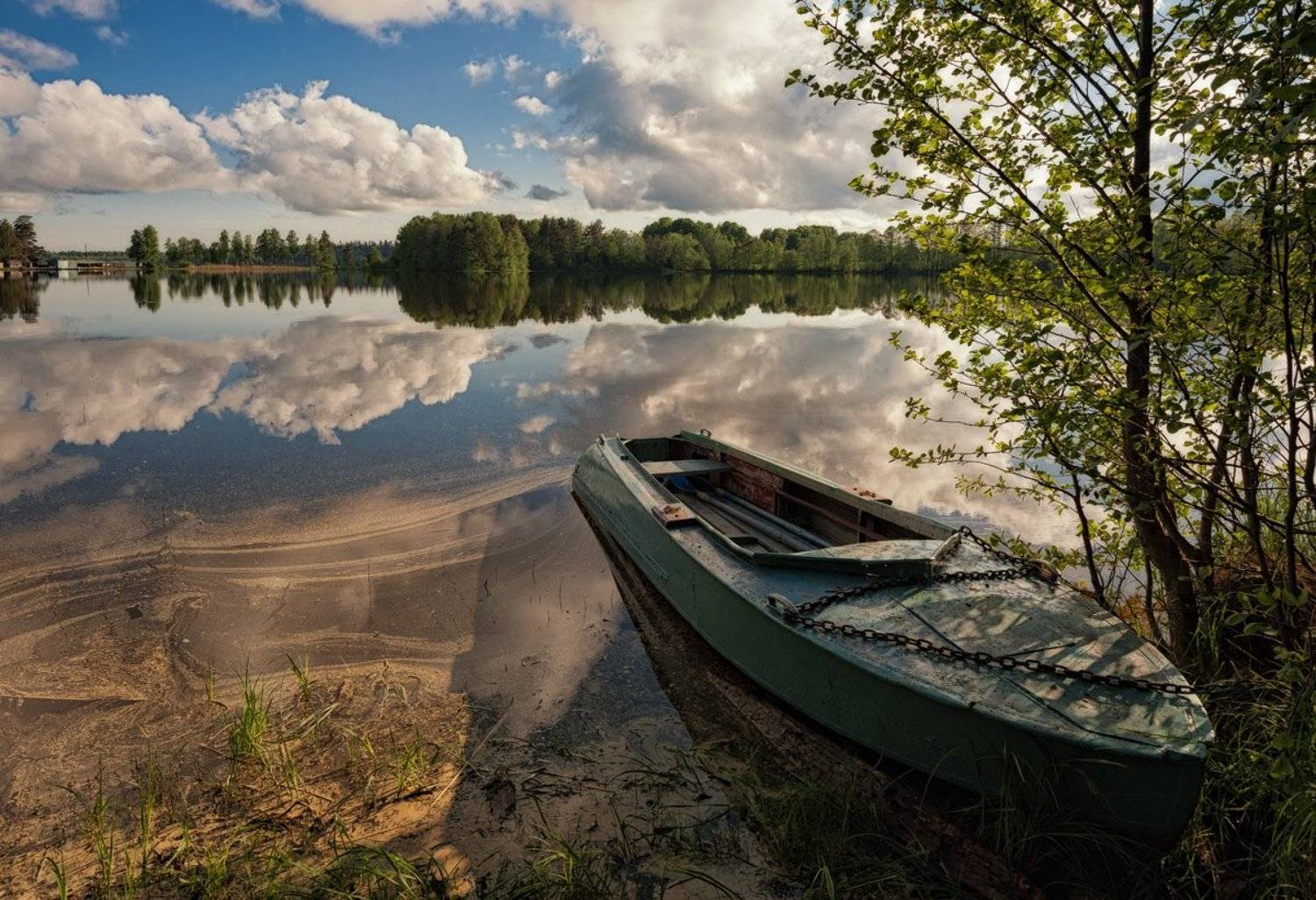, Евгений Плетнев