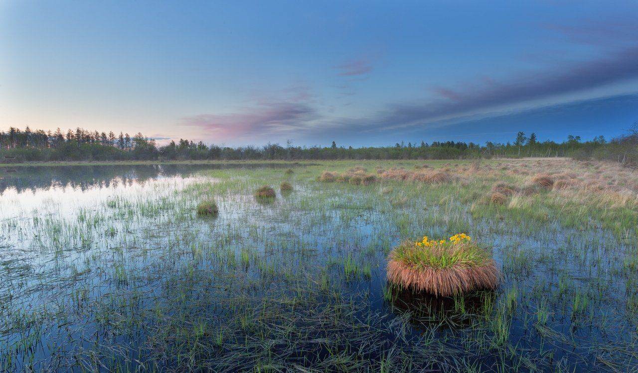 , Павел Глушков