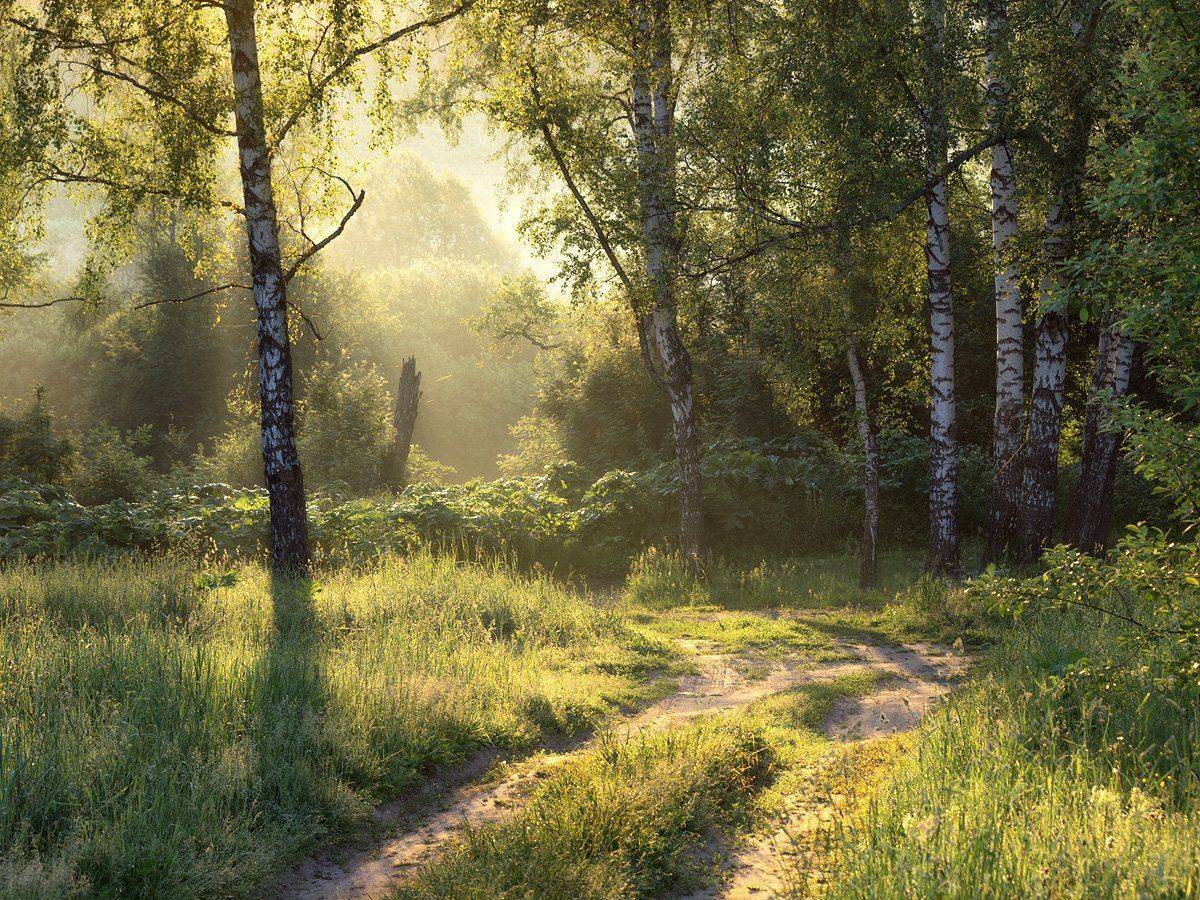 , Марина Брыдня