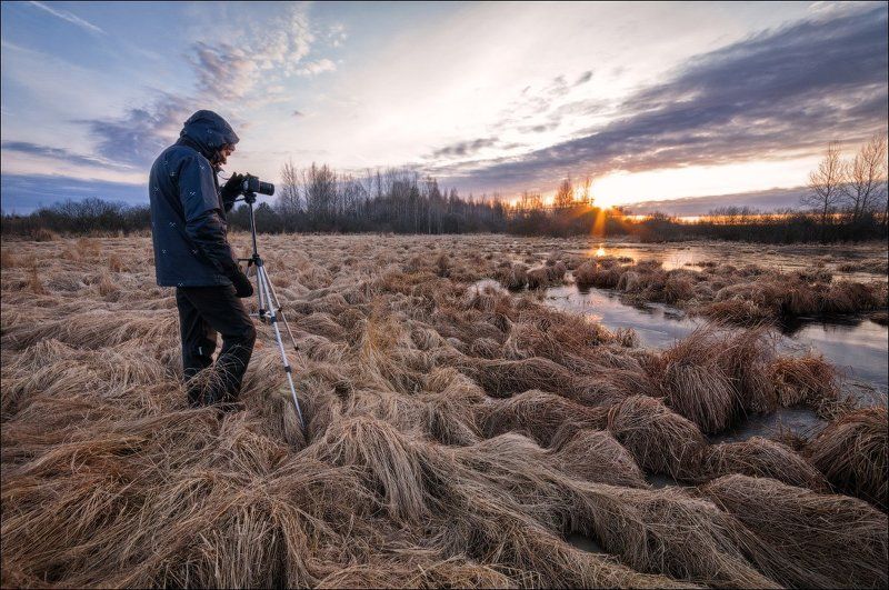 Кочки, Подмосковье, Рассвет, Солнце Кто рано встает..тому и красота восхода фото превью