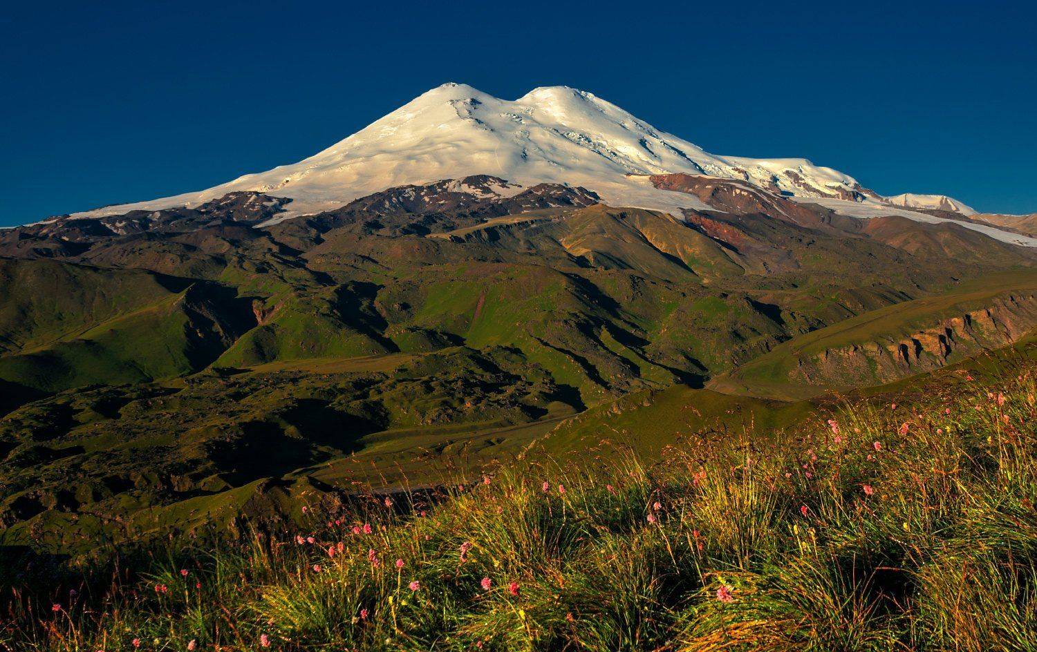 , Елена Брежицкая