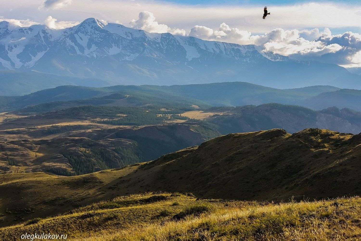 , Олег Кулаков