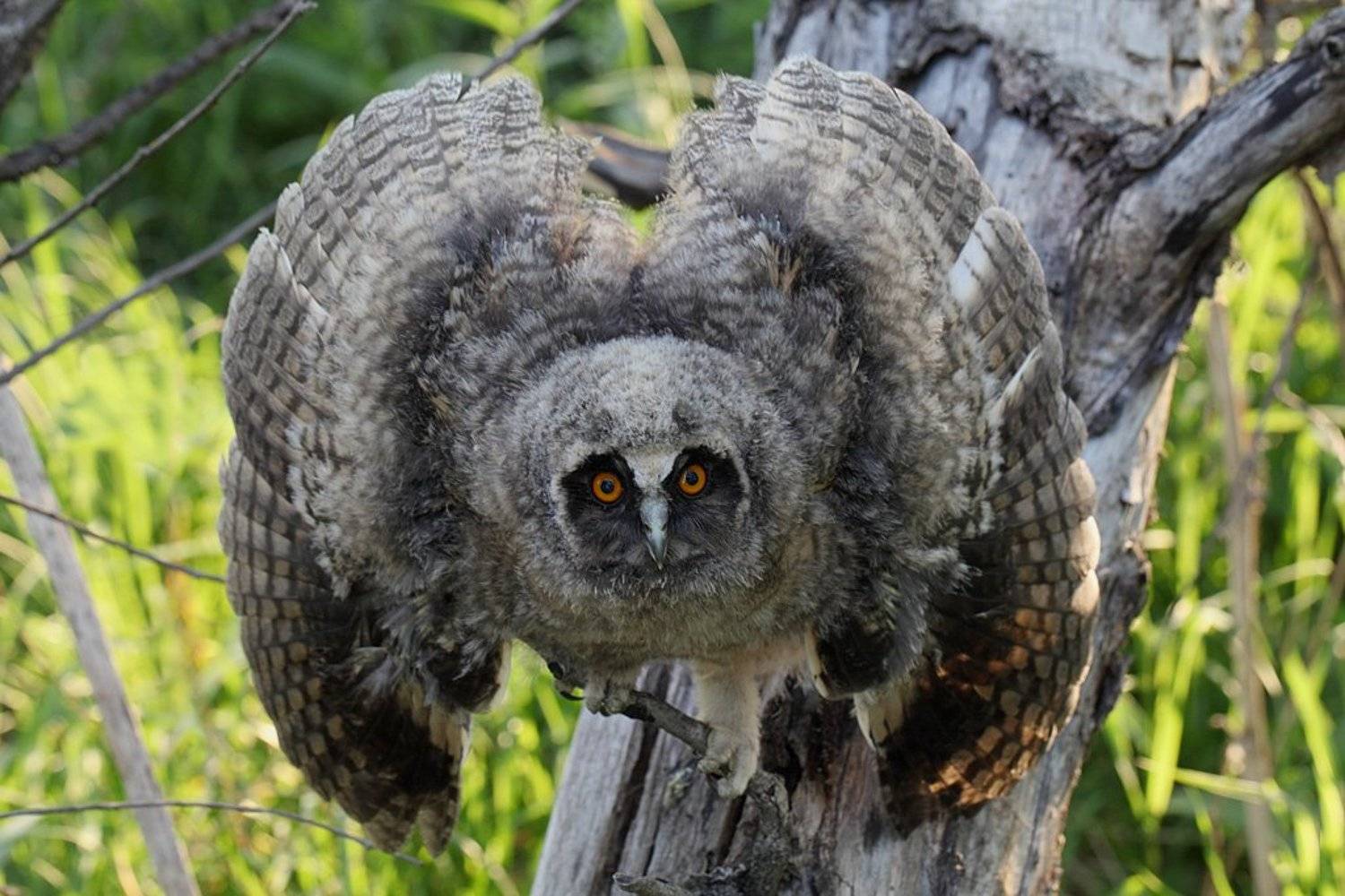 , Сергей Таланов