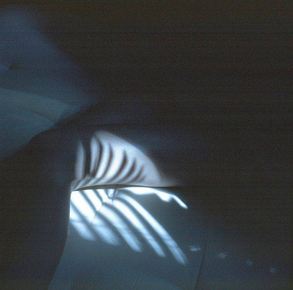 , Ефремов Андрей  not a gentleman