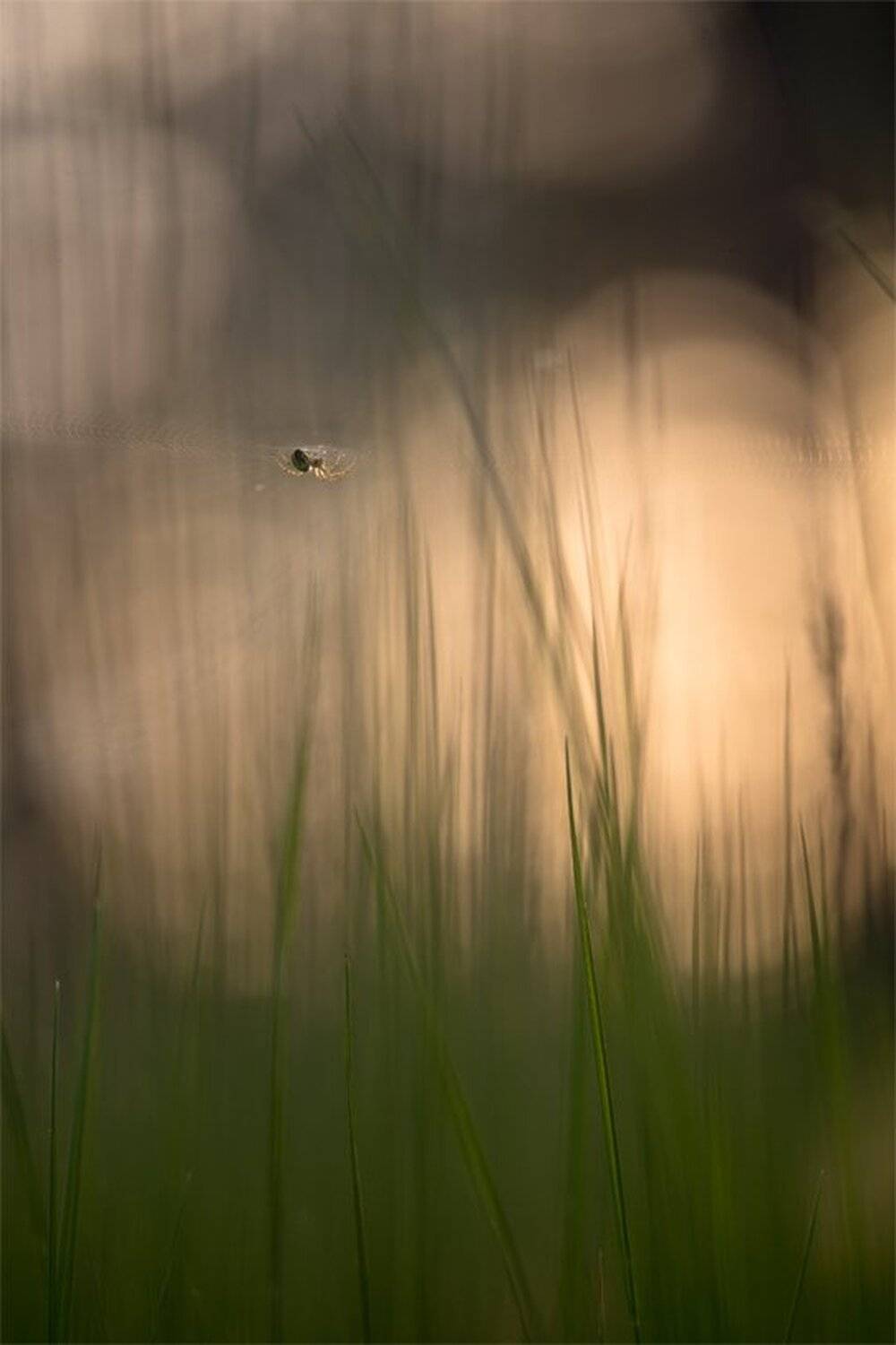 , Геннадий Мещеряков