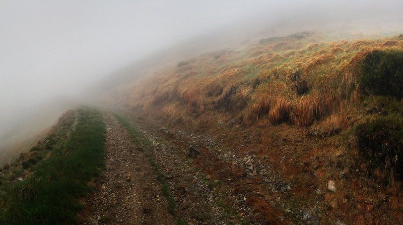 дорога фото превью