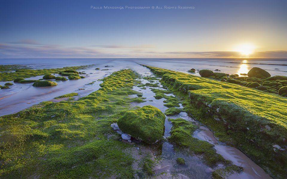 , Paulo Mendon&ccedil;a