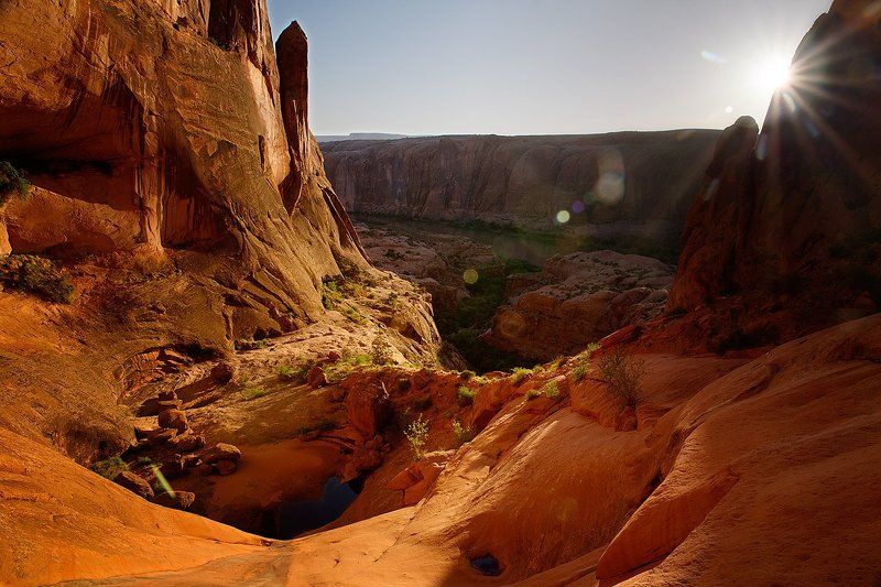 Moonflower Canyon Sunset фото превью
