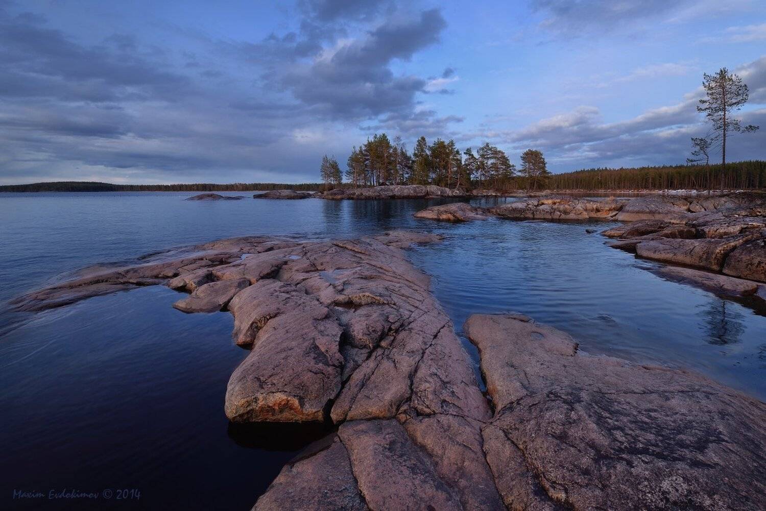 , Максим Евдокимов