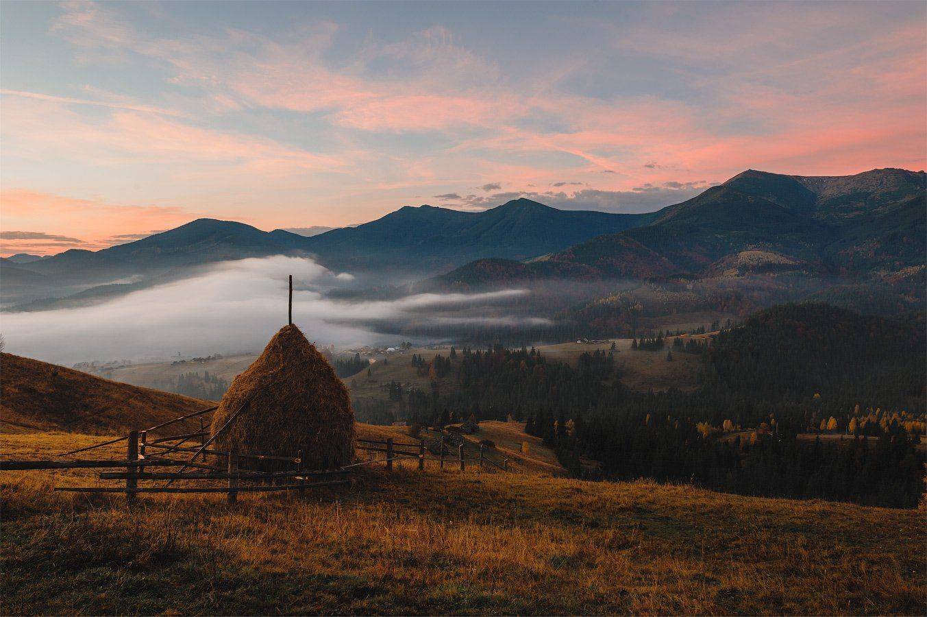 , Олег Логунов