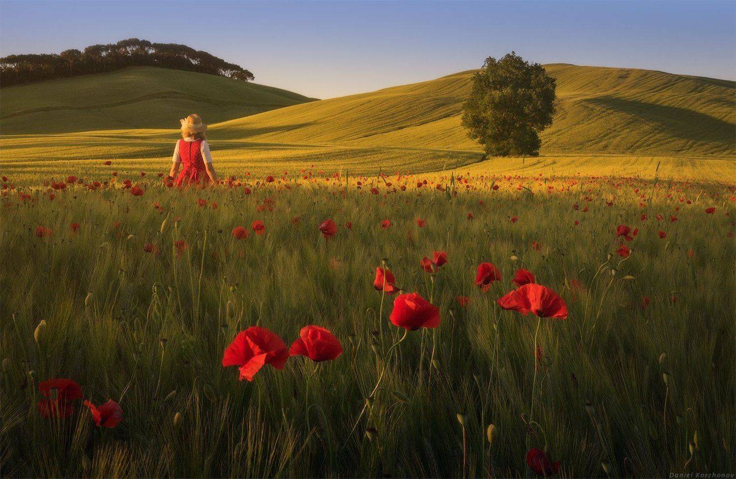 Тоскана, Даниил Коржонов