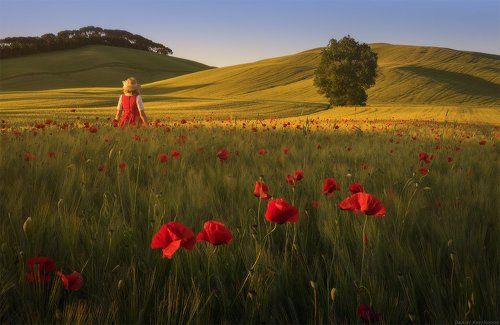 Сердце Тосканы