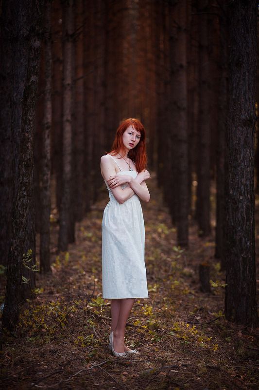 Лес фото превью