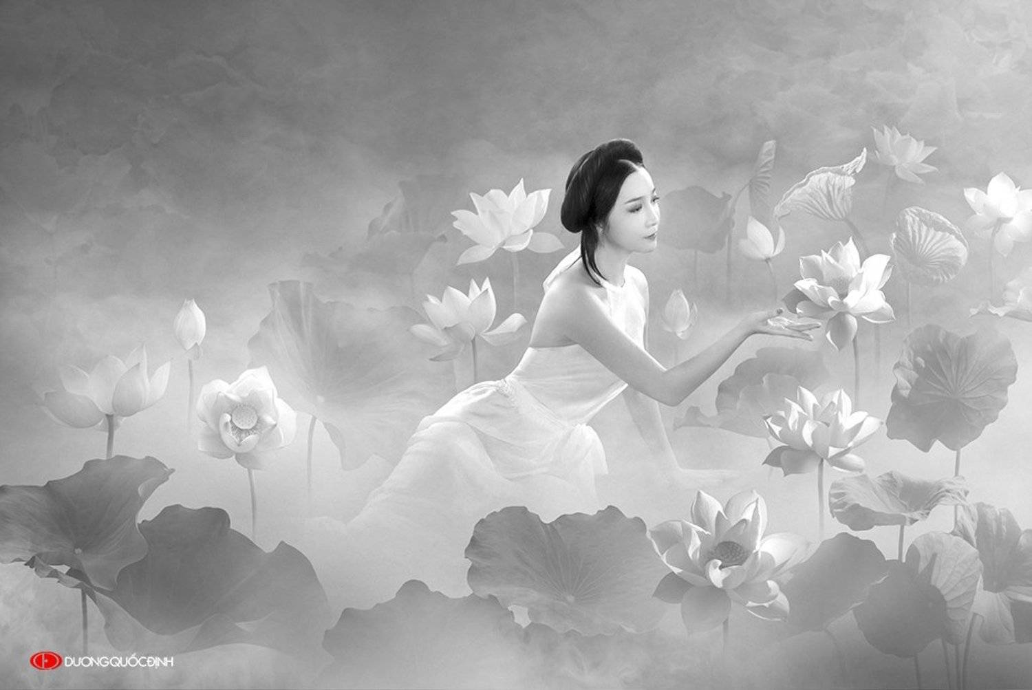 , duong quoc dinh