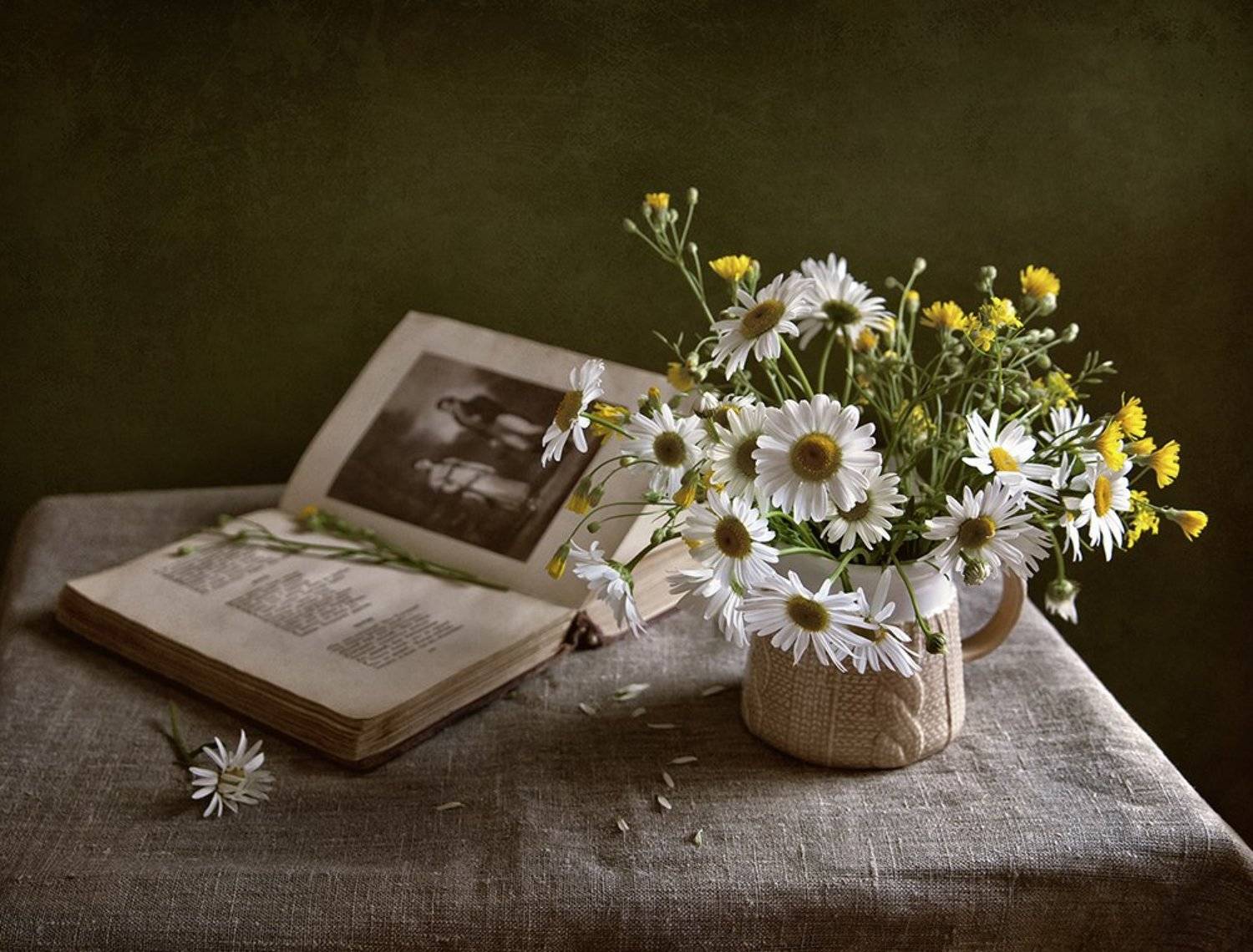 натюрморт, Elena Lo