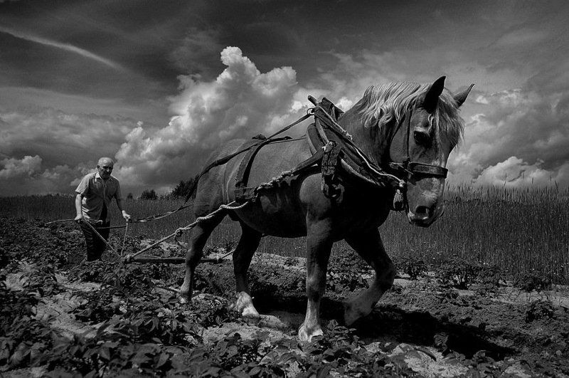 ... фото превью