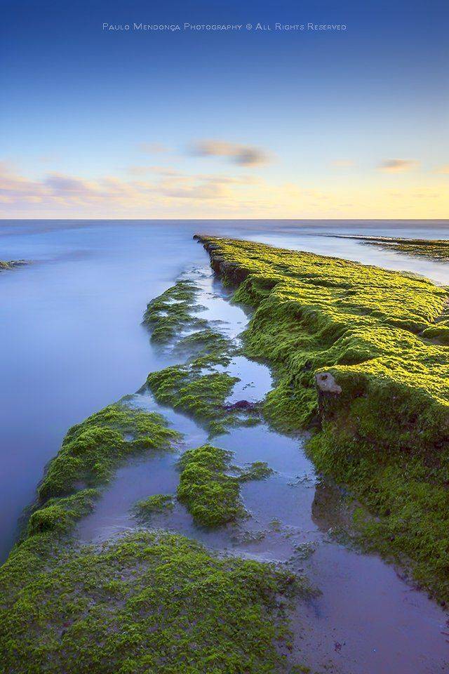 , Paulo Mendon&ccedil;a