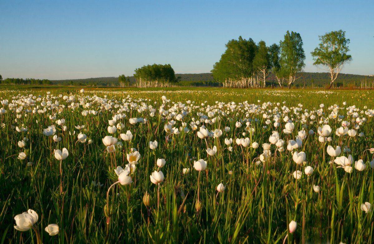 , Николай Морский