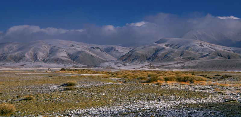 Altai mountains, Central Asia region, Morning in the mountains, Prairie, Zentralasien, Горный алтай, Горы, Урочище Тотугем, Утро в горах, Чуйская степь Утро в урочище Тотугем фото превью