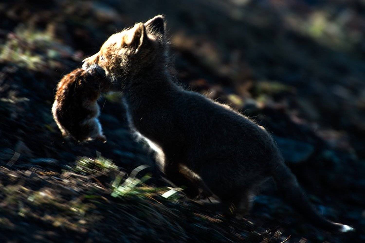 , Иван Кислов