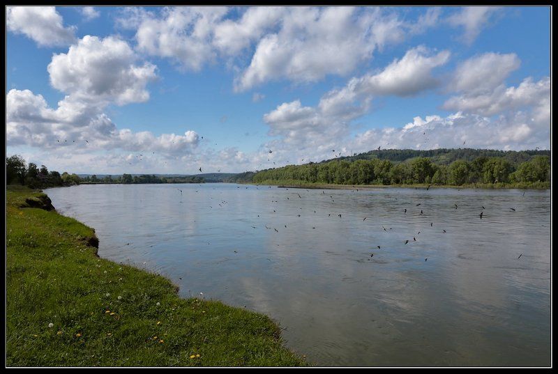 К дождю... фото превью