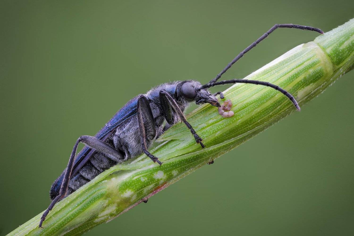 , Вадим Ходаковский