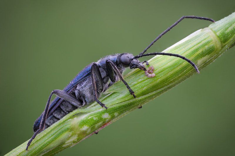 *-+*/ фото превью