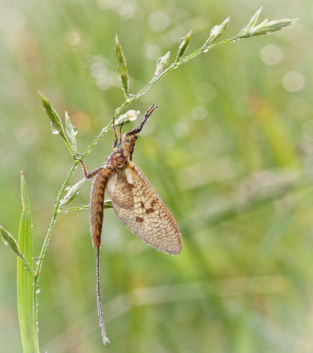 , Андрей Канышев